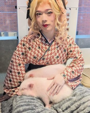 Open since March 19, 2025, Eat and drink while surrounded by miniature pigs at Asakusa Mipig Cafe. The popularity of micro-pigs as pets has been increasing every year, and this cafe allows the miniature pigs to become comfortable with people, and provide a unique, cuddly experience for guests.