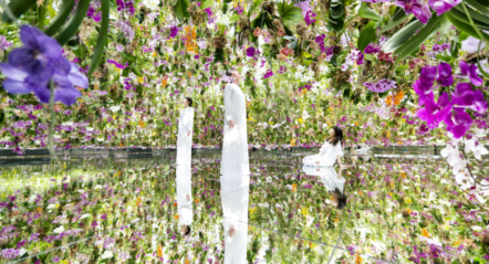 teamlab2