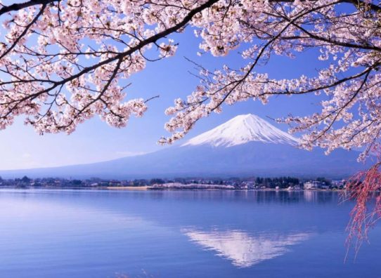 fuji