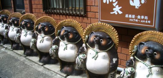A row of Tanuki in Asakusa, Tokyo